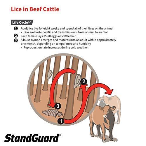 StandGuard Pour-On Insecticide for Cattle 152 fl oz/4.5 Ltrs