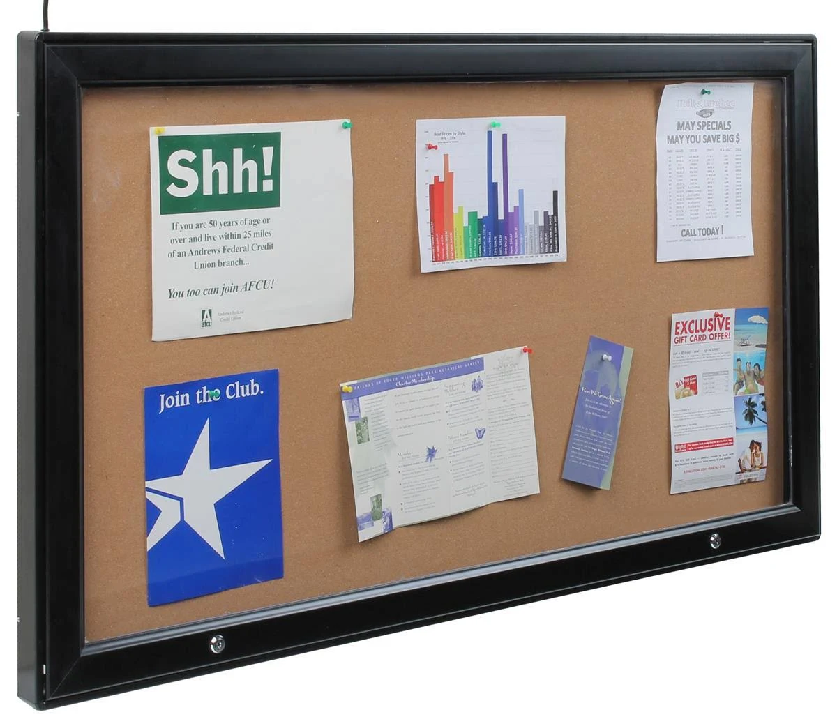 Outdoor Display Cases with Light and Swinging Door