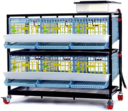 Quail Cage - 2 Layer (Power-Washable, Durable, ABS Plastic) | Hatching Time