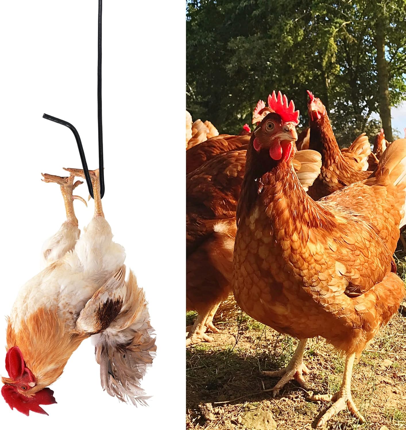 Scicalife 1pc Chicken Trapping Hook Pole Home Chicken Catcher Duck Catching Hook Rod Pack of 2