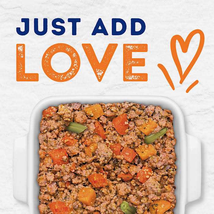 Natural Balance Platefulls Savory Duck &amp; Pumpkin Recipe Wet Dog Food - Pet Supplies online store