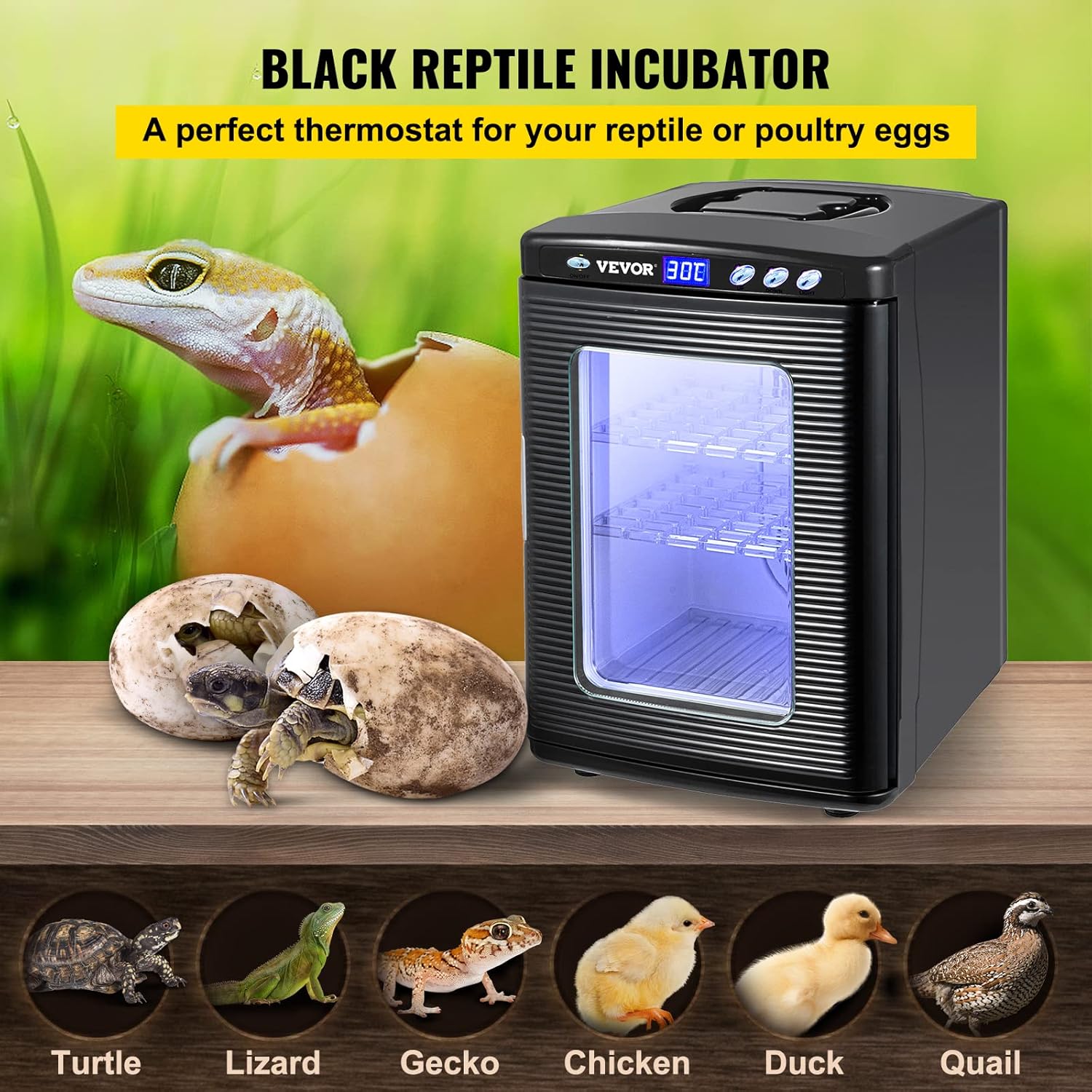 VEVOR Egg Incubator and Hatcher 25L Black Reptile Egg Incubator 5-60°C Scientific Hatcher Heating Bright LED Digital Display for Small Animals