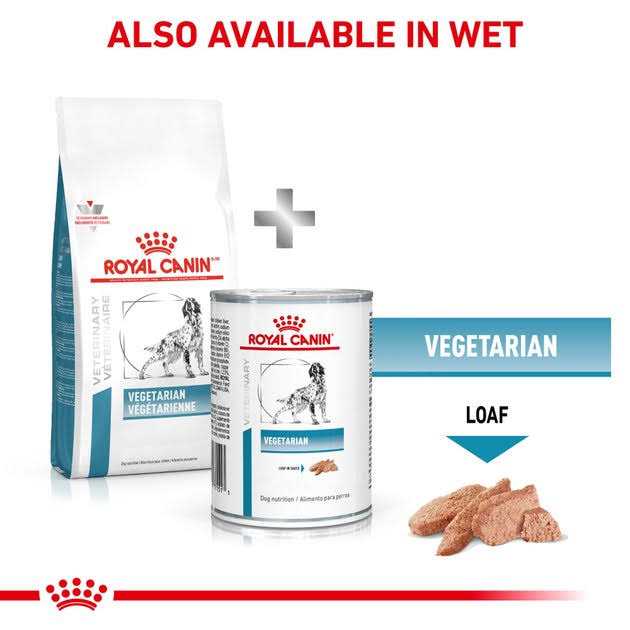 Royal Canin Veterinary Diet Canine Vegetarian Dry Dog Food - Pet Supplies online store