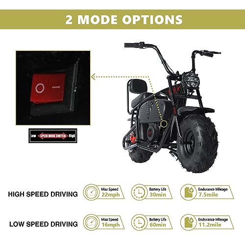 Oryxearth 36V Battery Powered Mini Electric Bike, Mini Dirt Bike for Kids, Electric Motorcycle for Kids Ages Over 13