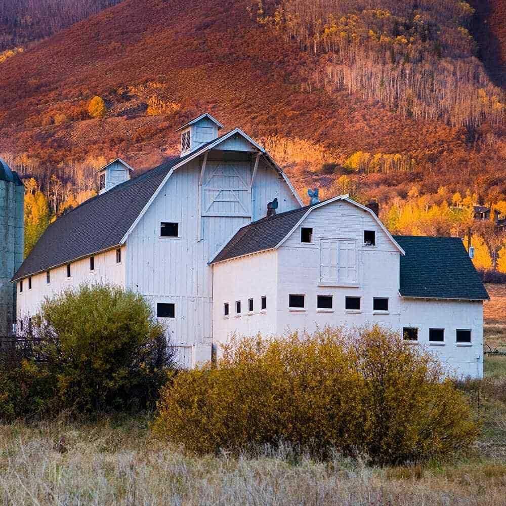 BEHR 5 gal. Red Exterior Barn and Fence Paint - Shop Hardware Tools Online Store