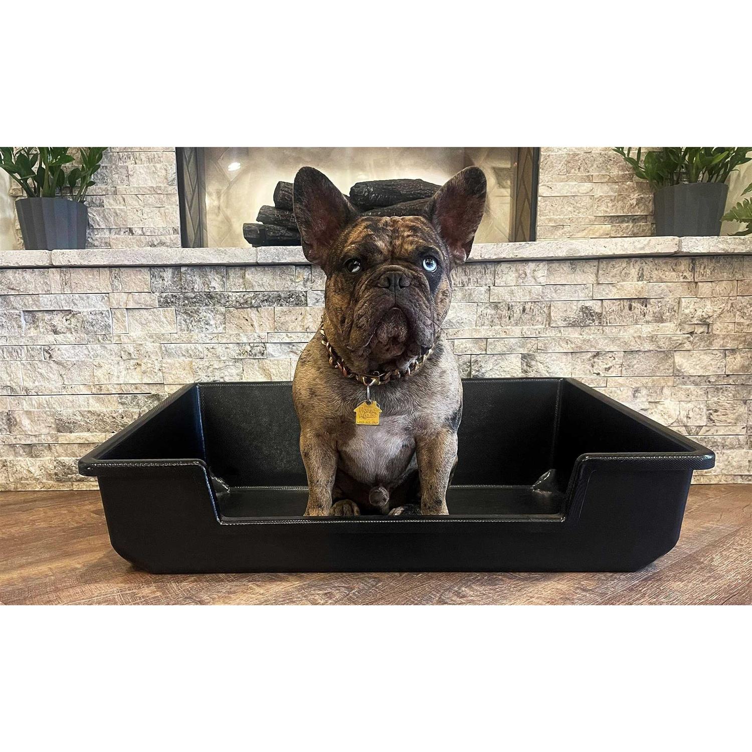 Piggy Poo and Crew Extra Large Litter Box - Pet Supplies online store