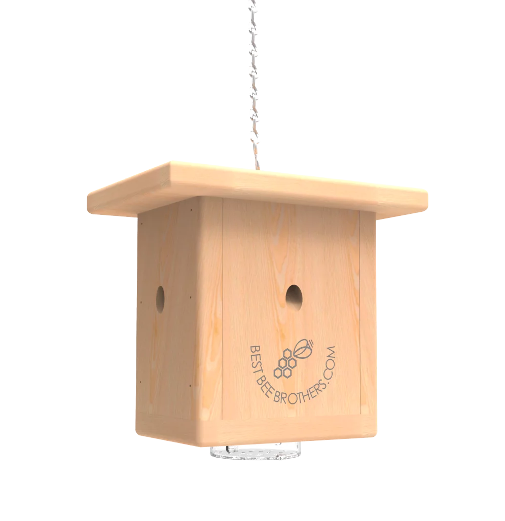 Best Bee Brothers Pine Wood Carpenter Bee Box Trap - Curated Treasures Market