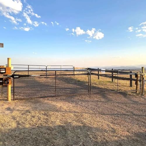 Ghost Controls Heavy-Duty Automatic Gate Opener Kit for Swing Gates with Long-Range Gate Opener Remote - Model TDS2