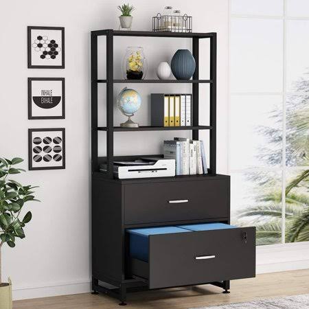 Tribesigns 2 Drawer Lateral File Cabinet with Lock, Letter Size Large Modern Filing Cabinet Printer Stand with Open Storage Shel