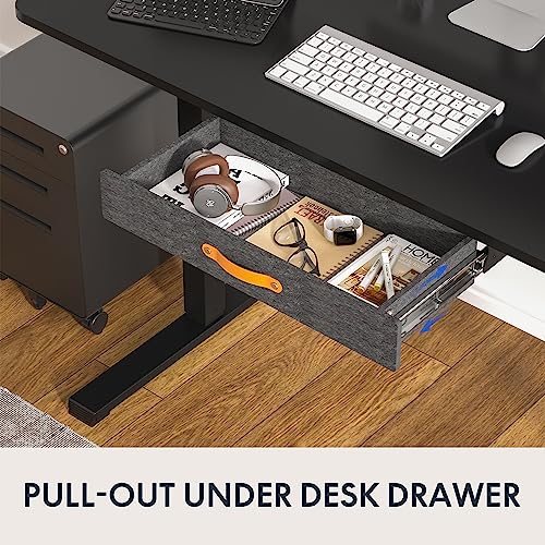 FLEXISPOT Standing Desk with Drawer Electric Sit Stand Desk with 48 x 24 Inches Whole-Piece Desktop Ergonomic Memory Controller Adjustable Height Desk(White Frame + 48" Bamboo Texture Desktop)