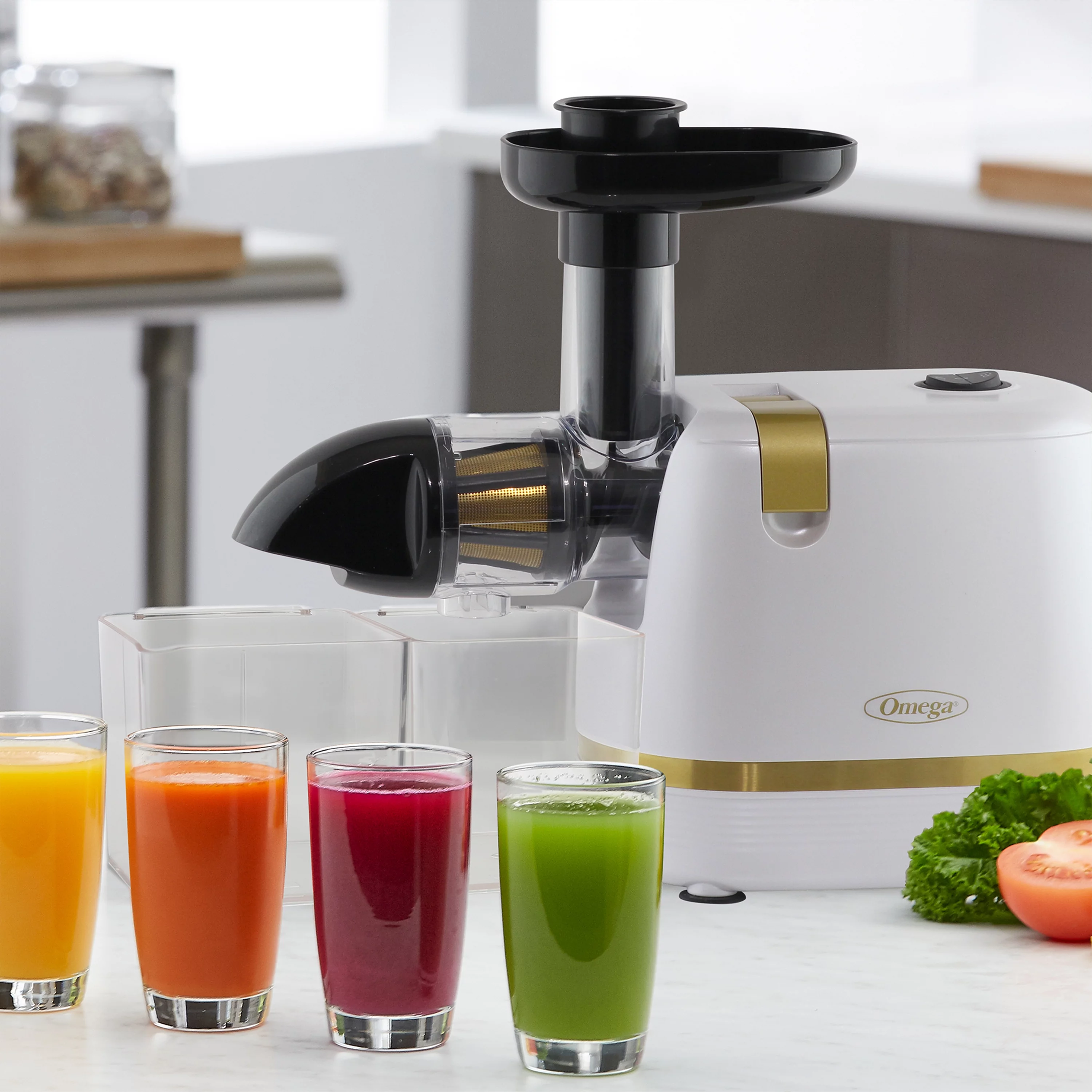 Omega Cold Press 365 Horizontal Compact Masticating Juicer, White
