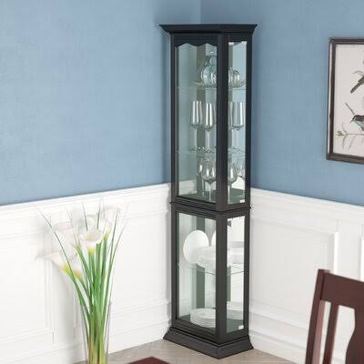 Watkin Floor Standing Lighted Curio Cabinet Astoria Grand Color: Black
