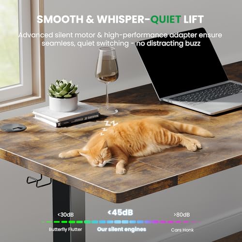 SIAGO Electric Standing Desk Adjustable - 48 x 24 Inch Sit Stand up Desk with Cable Management - 3 Memory Preset Adjustable Height Table