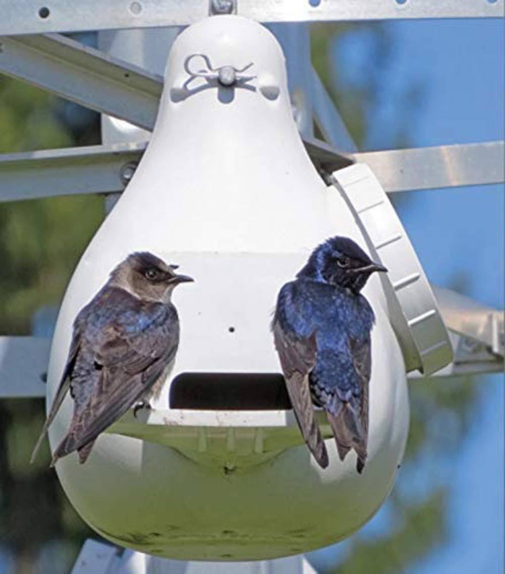 Ravenox Bird Houses for Outside | Flying Martins Purple Martin Vertical Gourd - Handmade in USA w/Conley II Hole Entrance Gourd