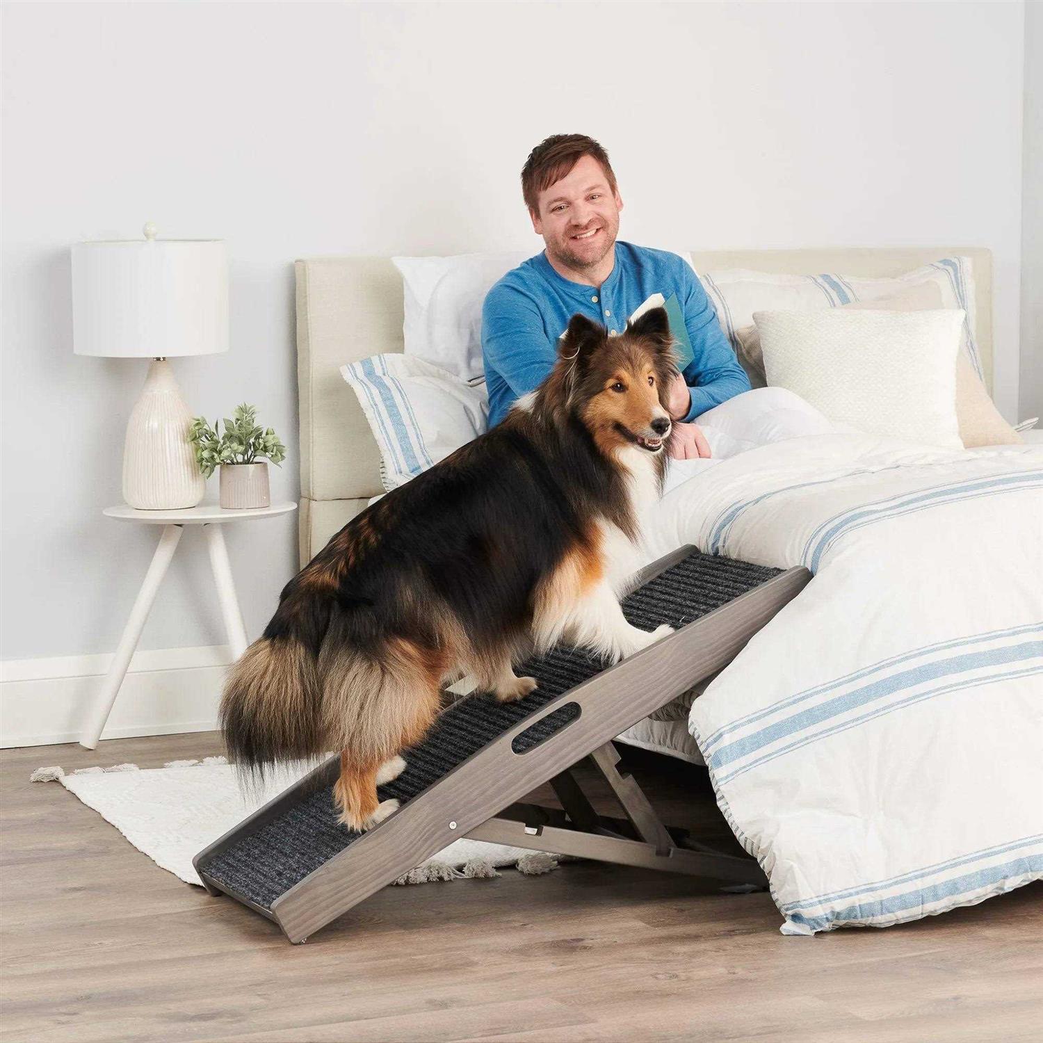 EveryYay Rise &amp; Climb 39.37 x 15.75 x 3.94 Indoor Pet Ramp - Pet Supplies online store