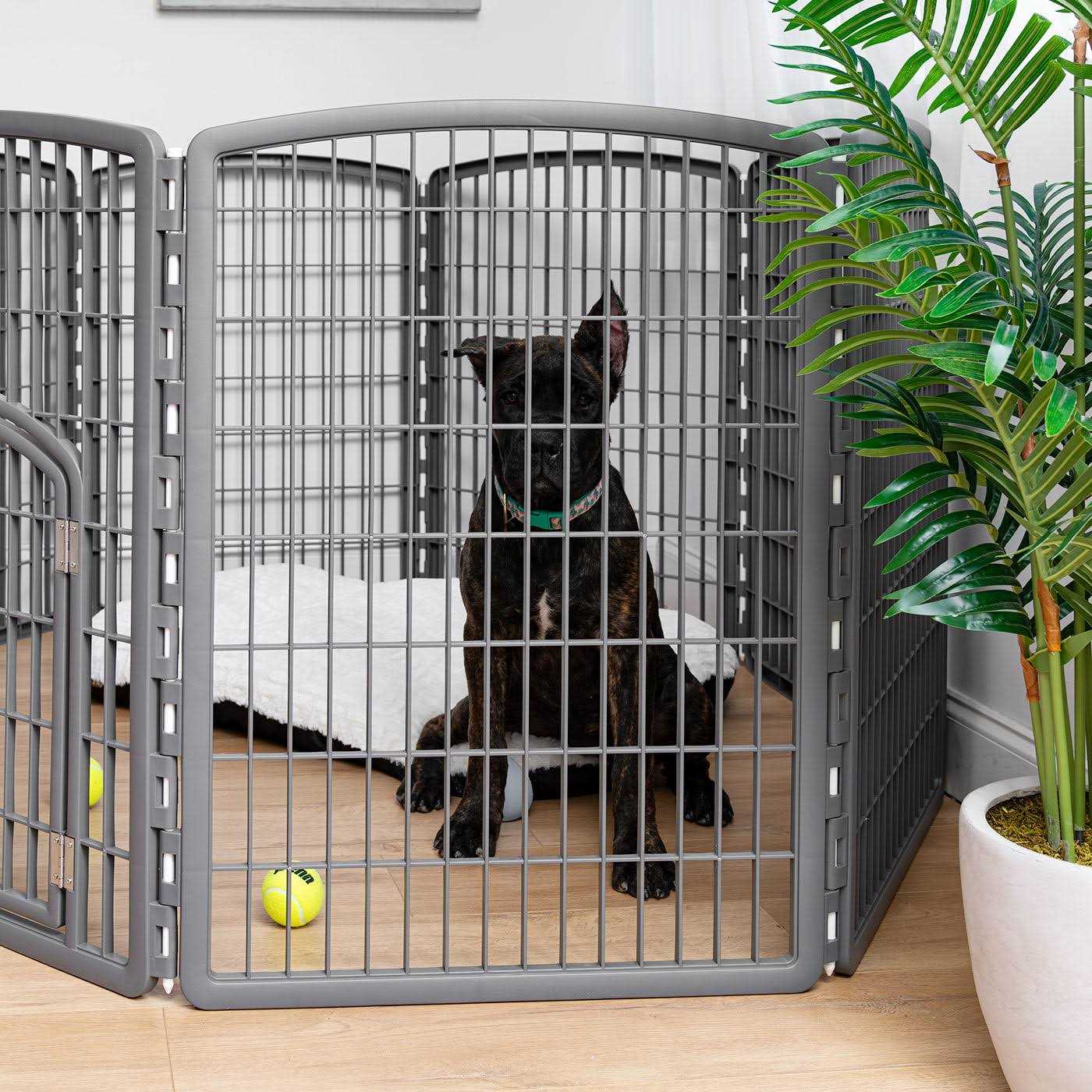 Iris Exercise 8-Panel Pet Playpen with Door - Pet Supplies online store
