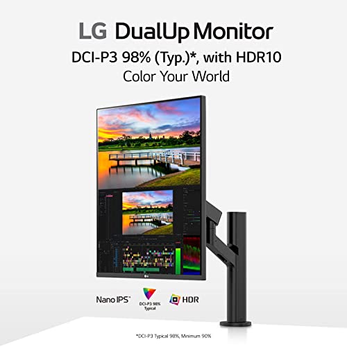 LG DualUp Monitor