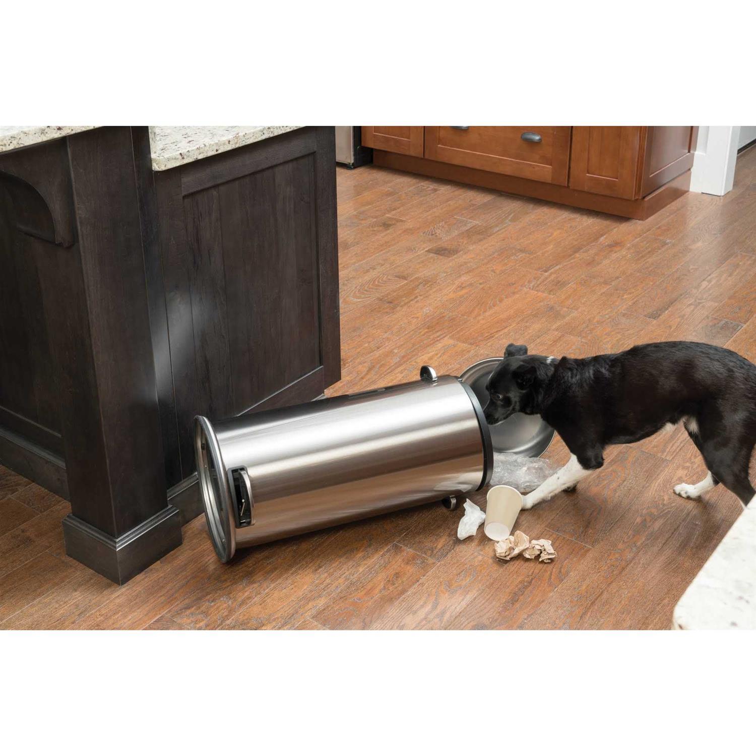 PetSafe Smart Dog Trainer - Pet Supplies online store
