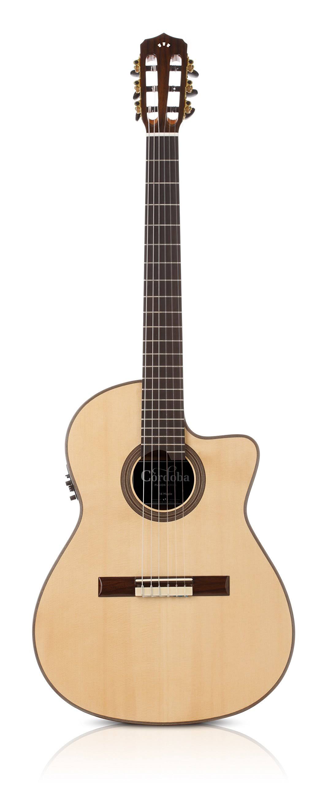 Cordoba Fusion 14 Maple Acoustic Electric Nylon String Classical Guitar