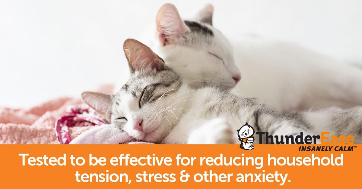 ThunderEase Multicat Calming Pheromone Diffuser Kit | Powered by FELIWAY | Reduce Cat Conflict, Tension and Fighting (90 Day Supply) Pack of 2