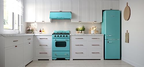 Classic Retro 24-inch 2.9 cu/ft Natural Gas Range with Sealed Burners