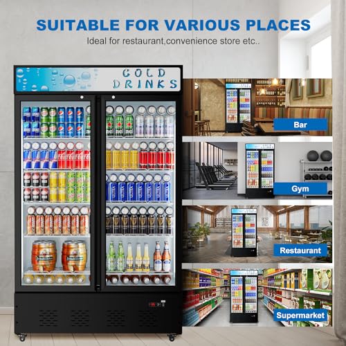 FreezLabs Commercial Merchandiser Refrigerator with LED Lighting Single Glass Door, 6.0 Cu Ft Upright Display Beverage Cooler with Shelves Drink Holders, ETL NSF Approved
