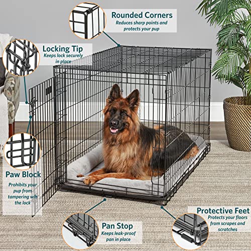 MidWest Homes for Pets XL Dog Crate | MidWest Life Stages Folding Metal Crate | Divider Panel, Floor Protecting Feet, Leak-Proof Pan | 48L x 30W x 33H Inches, XL Dog Breed