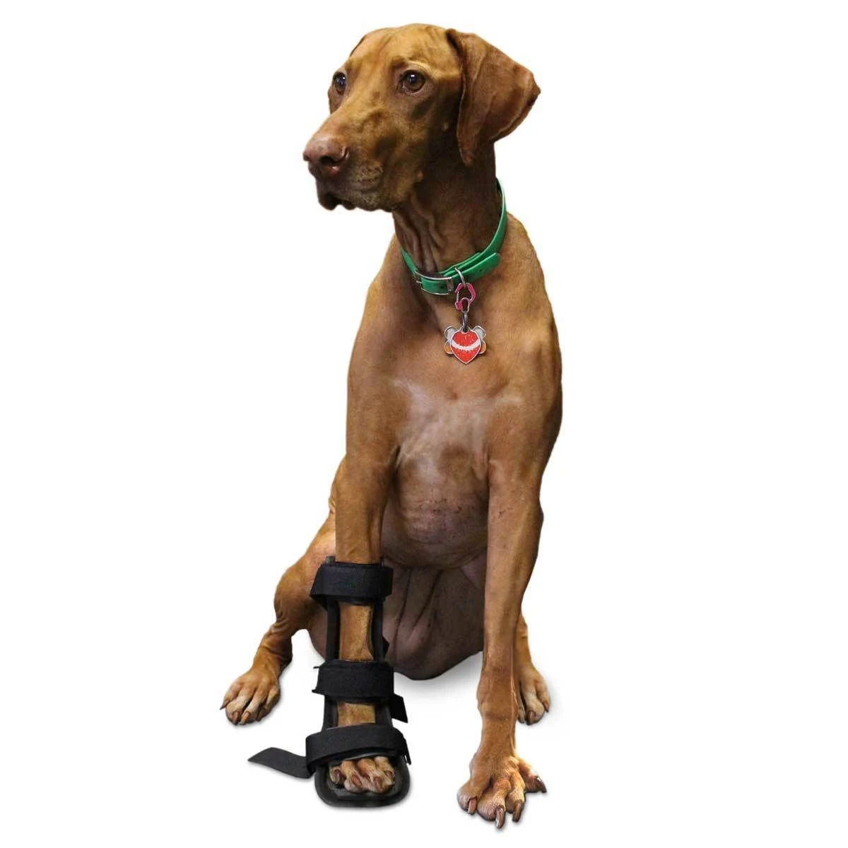 Walkin& Pet Splint for Dogs, Canine Front Leg Splint with Foam Inserts