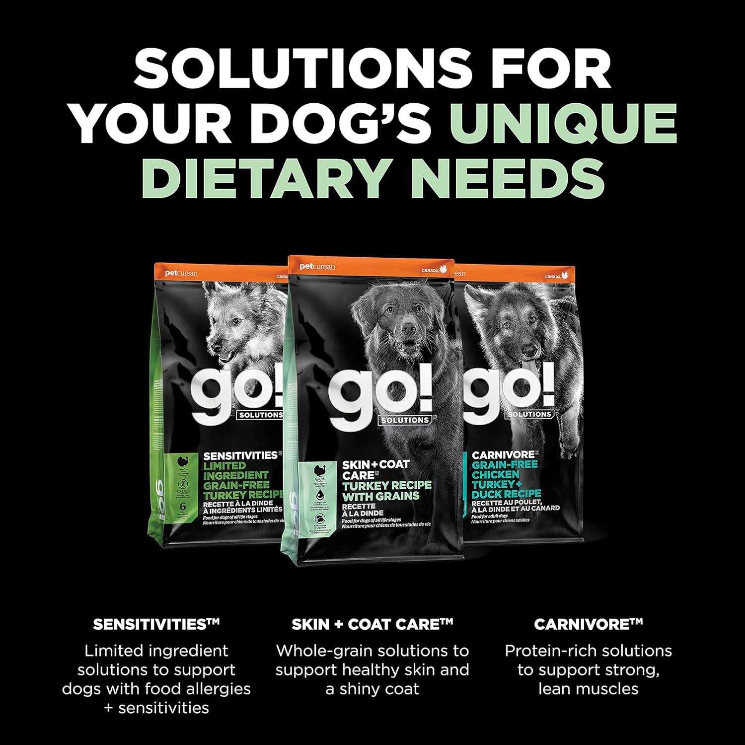 Go! Solutions Skin + Coat Care Salmon Recipe Dry Dog Food - Pet Supplies online store