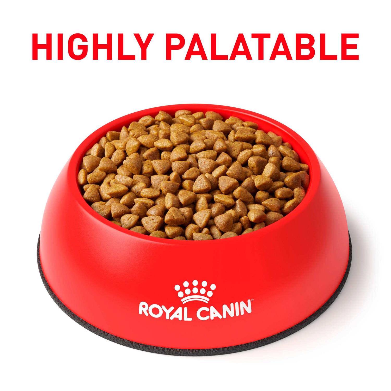 Royal Canin Veterinary Diet Feline Calm Dry Food - Pet Supplies online store