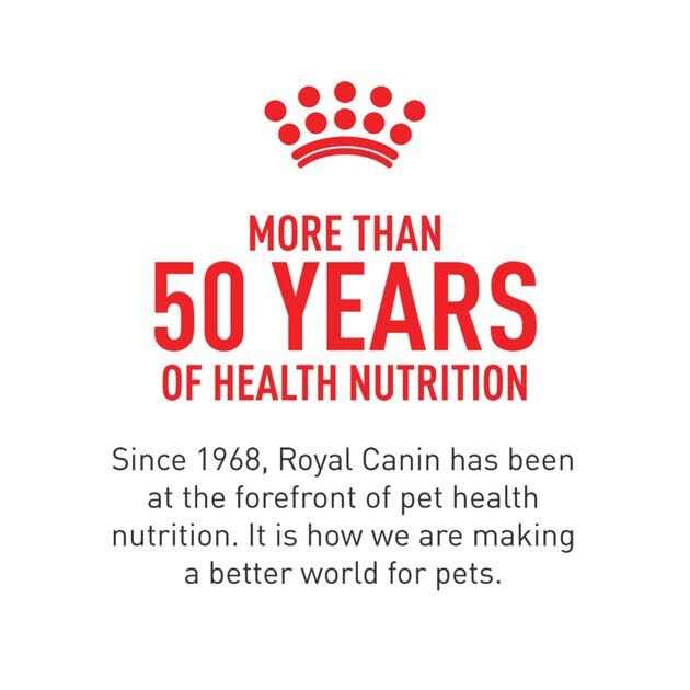 Royal Canin Veterinary Diet Adult Renal Support E Loaf in Sauce Canned Cat Food - Pet Supplies online store