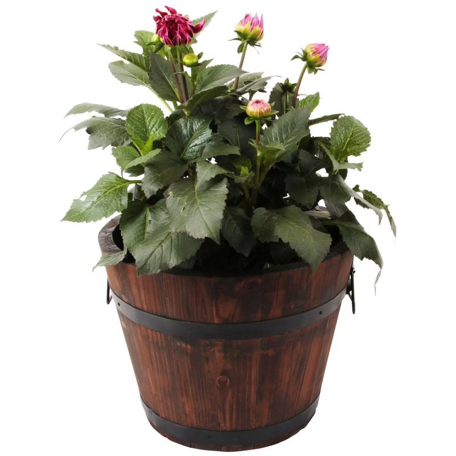 Leisure Season Large Barrel Style Round Wood Planters in Medium Brown (Set of 4)