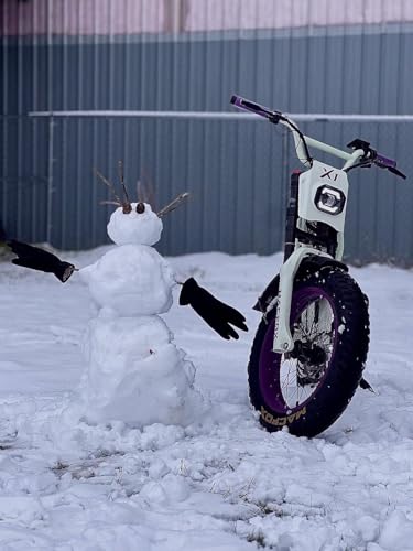 MACFOX X1S 2025 Ebikes for Adults, 750W Electric Bike Wheelie 25 MPH Max Speed, 38 Miles Range(PAS1), 20"x4" Fat Tires, City/School Commuting Electric Bike (UL2849, Class-3)
