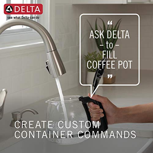 Delta Faucet Monrovia Kitchen Faucet