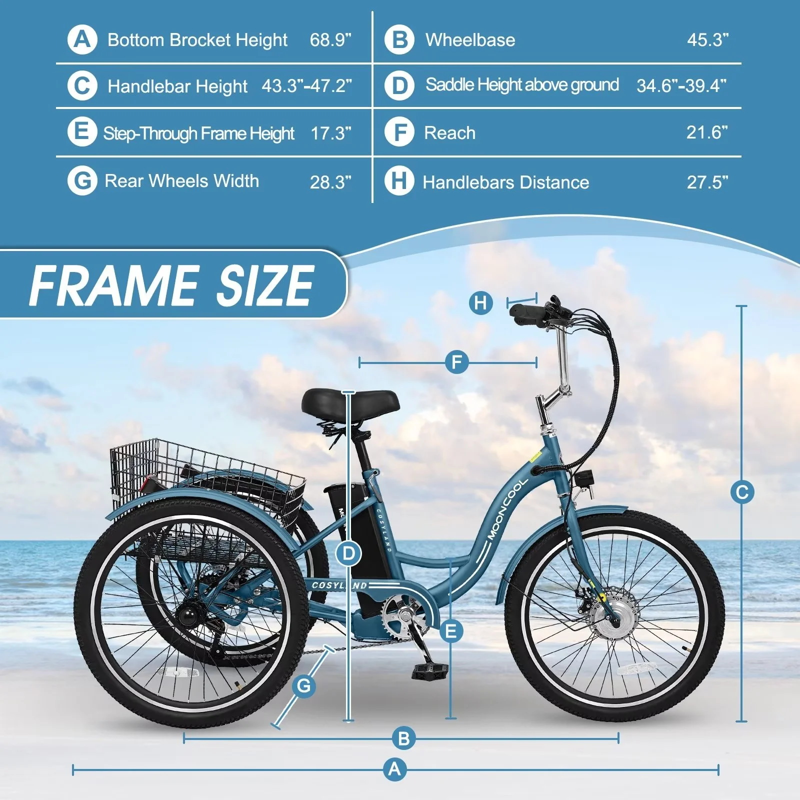 MOPHOTO 24" 350W 36V 7 Speeds Electric Tricycle for Adult, Electric Trike with Basket, 3 Wheel Electric Bikes with Led Headlight, Motorized Tricycle for Senior