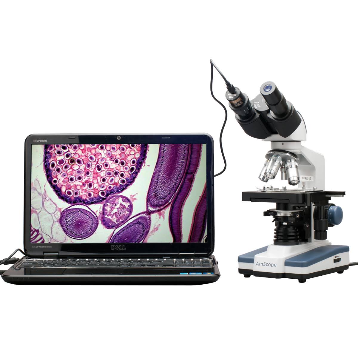 Amscope 40X-2500X LED Digital Binocular Compound Microscope W 3D Stage + 5MP USB Camera