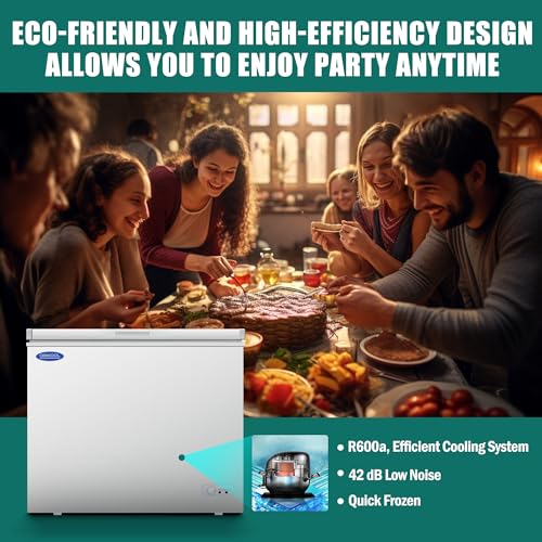 Chest Freezer, Solid Top Commercial Deep Chest Freezers with Lockable Stay-Open Lid Painted for Back-of-House Bulk Storage 110V Ice Cream Freezers