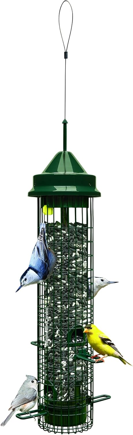 Squirrel Buster Classic Squirrel-proof Bird Feeder w/4 Feeding Ports, 2.4-pound Seed Capacity Pack of 2