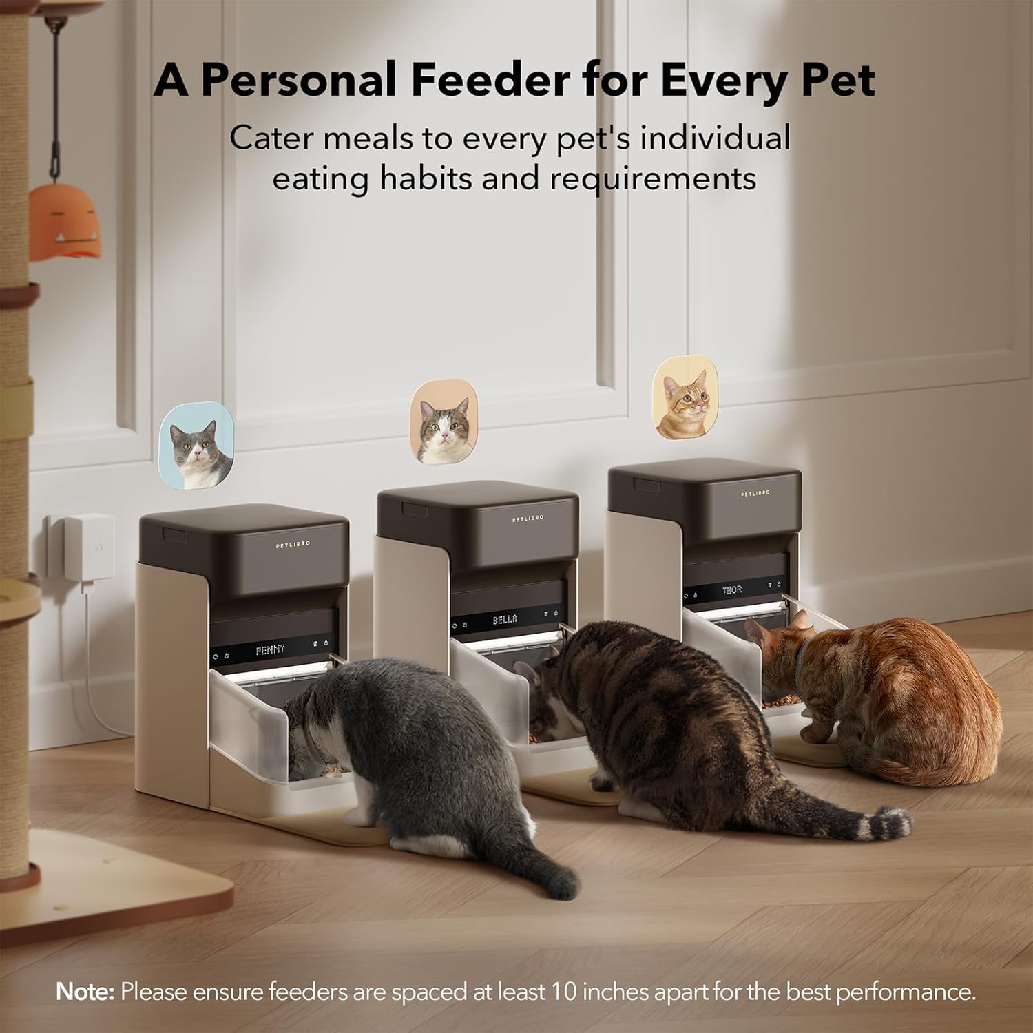 PETLIBRO 2 Packs RFID Automatic Cat Feeders, 5G Wi-Fi 2 Packs Automatic Pet Feeders, 3L 2 Auto Cat Feeders with Light Collar Tag, Tag Activated 2 Automatic Cat Food Dispensers 1-10 Meals Control