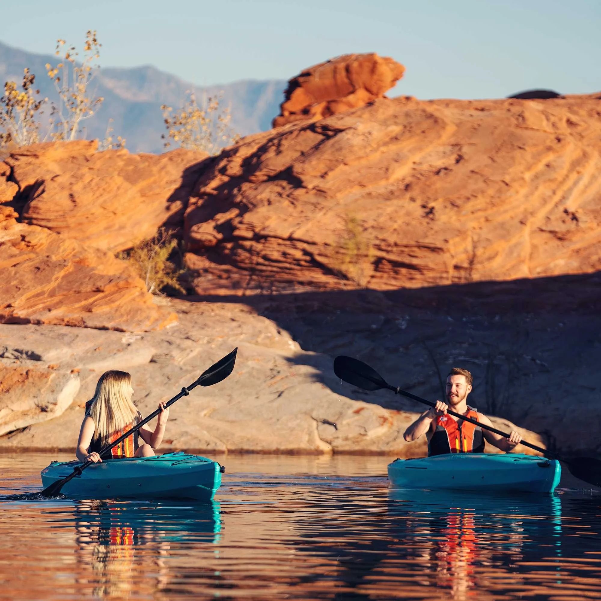 Lifetime Guster 10 ft. Sit-Inside Kayak, Bahama Fusion (91006)