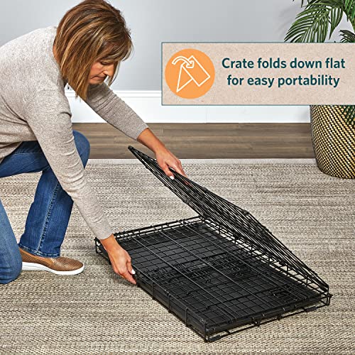 MidWest Homes for Pets XL Dog Crate | MidWest Life Stages Folding Metal Crate | Divider Panel, Floor Protecting Feet, Leak-Proof Pan | 48L x 30W x 33H Inches, XL Dog Breed