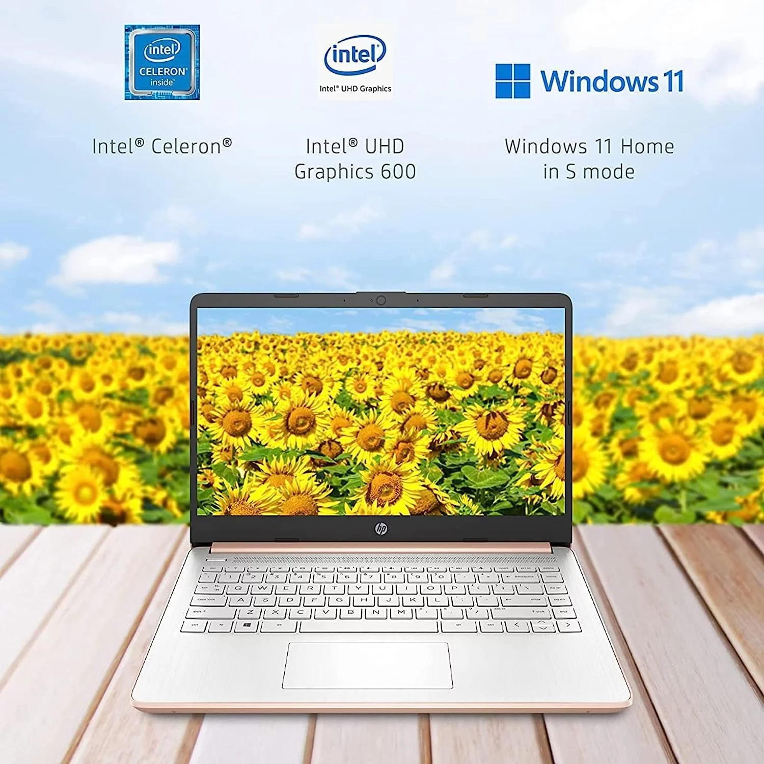 HP Laptop, 14" Ultral Light Laptop for Students and Business, Intel Celeron Quad-Core N4120, 16GB RAM, 64GB eMMC+256GB Micro SD, Wi-Fi, Bluetooth, Webcam, Windows 11 Home in S Mode, Pink