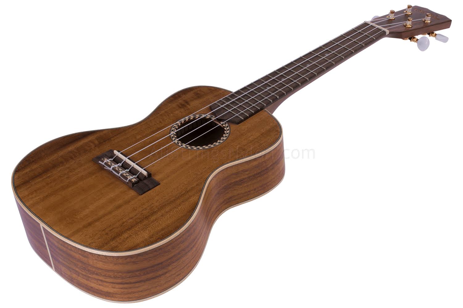 Cordoba 25CK Concert Ukulele