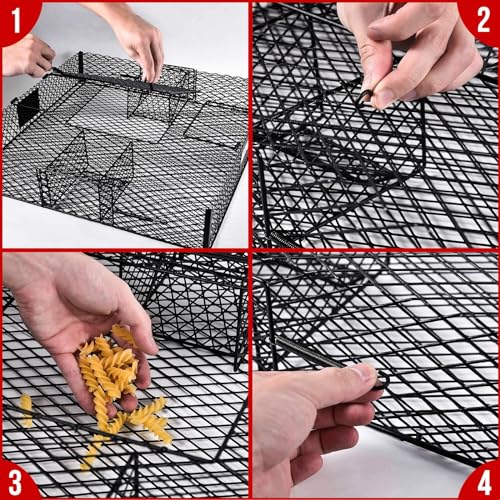 Squirrel Trap (No Bottom Tray) - Ideal for Chipmunks and Squirrels, Metal Construction, Holds up to 25 Squirrels, 2 Traps