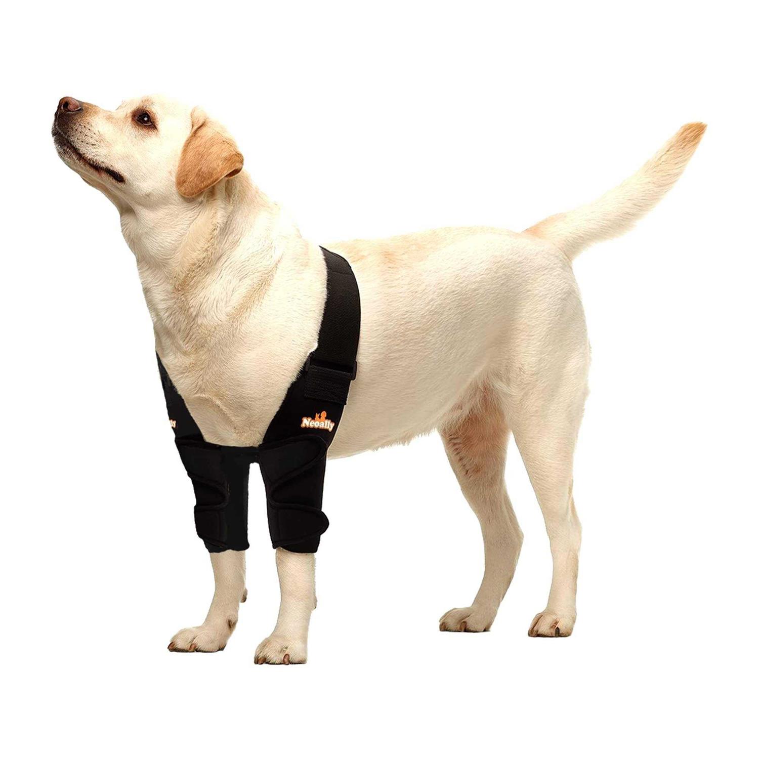 NeoAlly Dog Elbow Brace Protector Pads for Canine Elbow and Shoulder Support Elbow Hygroma - Pet Supplies online store