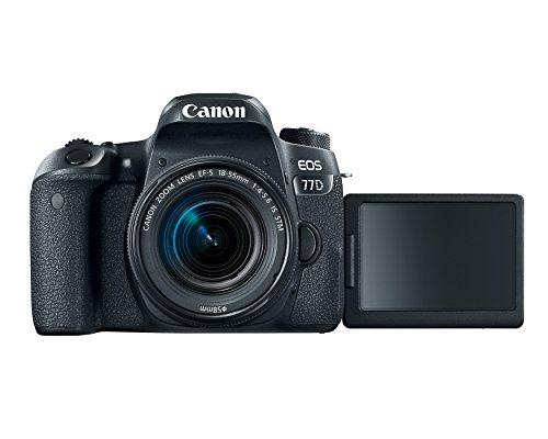 Canon Cameras US 24.2 Digital SLR Camera with 3-Inch LCD, Black (1892C001)