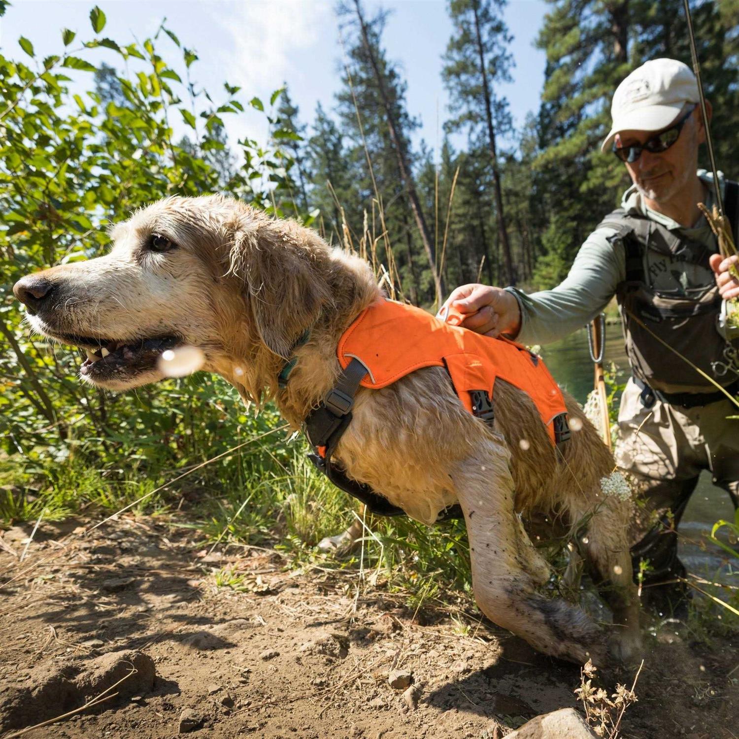 Ruffwear Harness Web Master - Pet Supplies online store