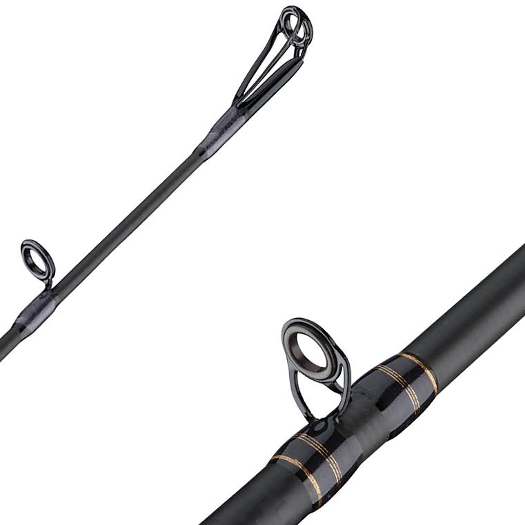 Fenwick HMG Casting Rod