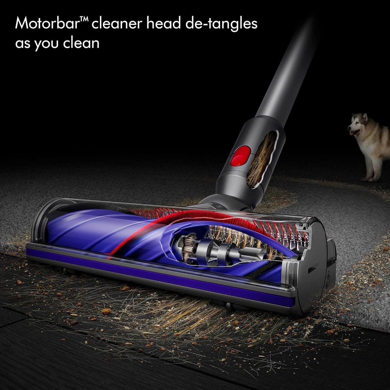 Dyson V8 Origin+ Cordless Vacuum | Purple