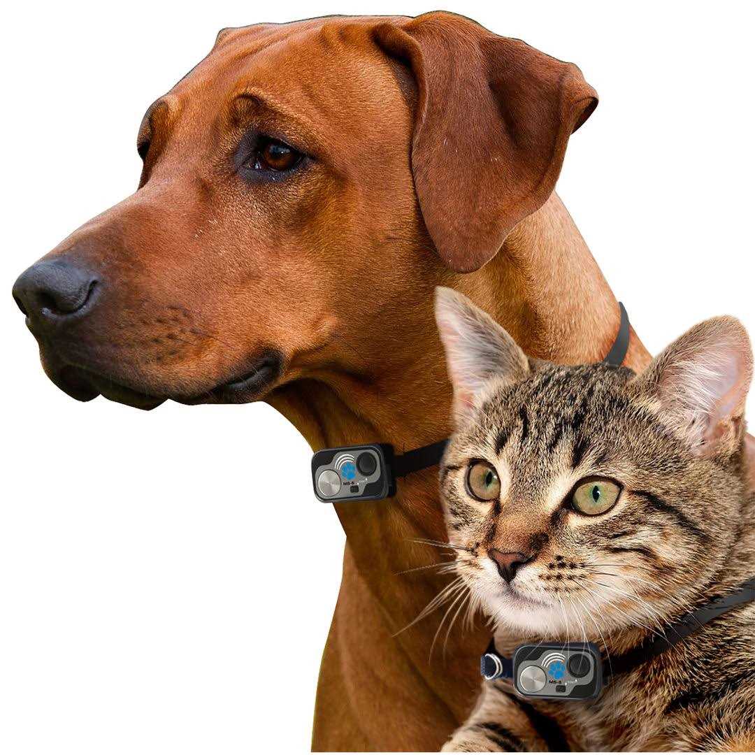 High Tech Pet WiFi Enabled Smartphone Controlled Automatic Dog and Cat Door - Pet Supplies online store